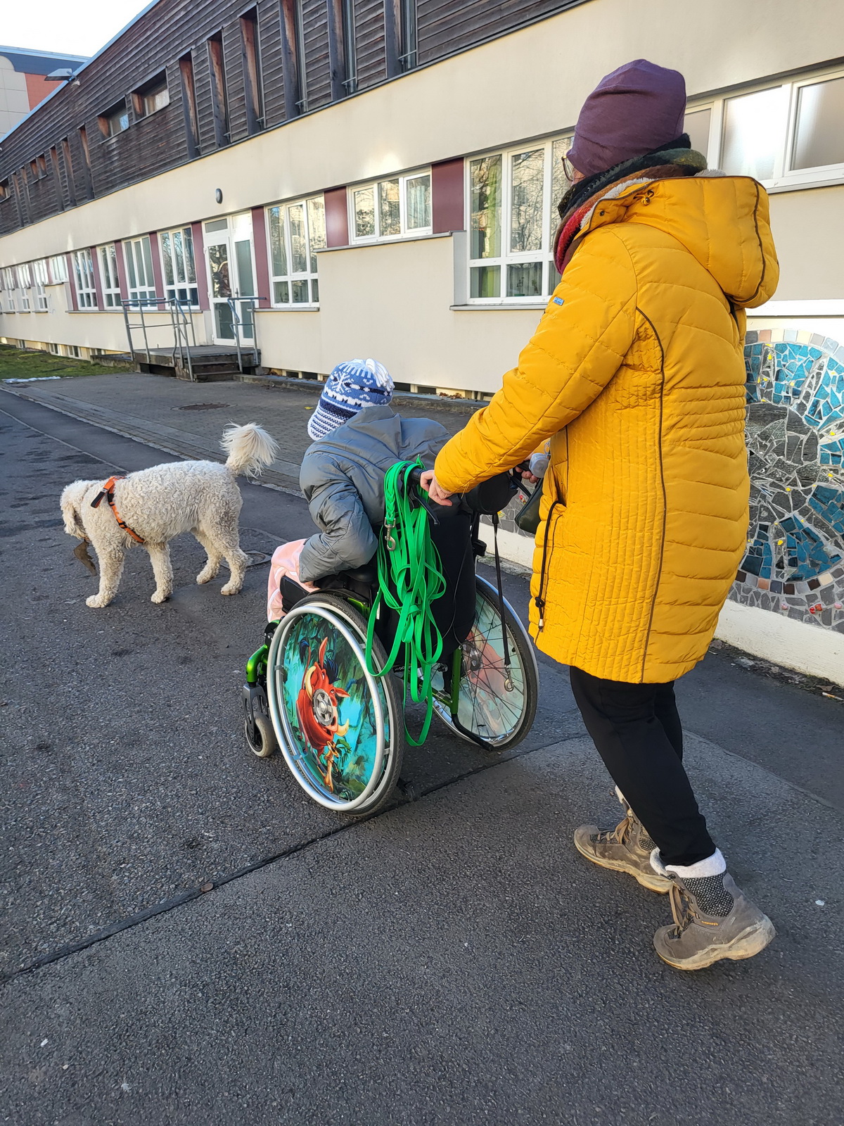 Rocky – Unser Wohlfühlmanager im Einsatz